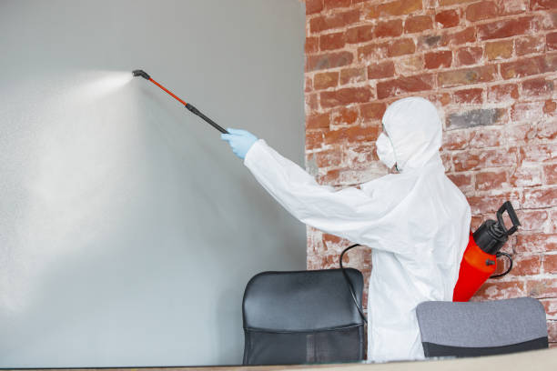 Best Commercial Mold Inspection  in New Cumberland, WV