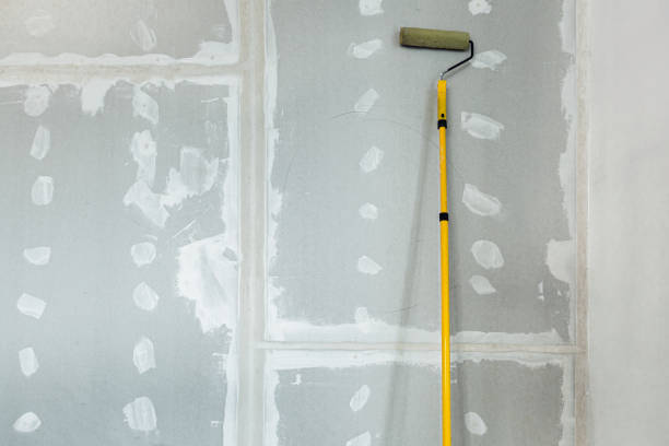 Best Air Quality Testing for Mold Spores  in New Cumberland, WV