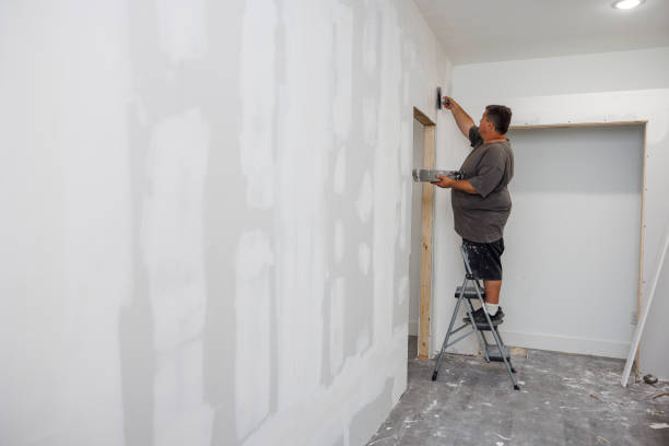 New Cumberland, WV Mold Removal Pros
