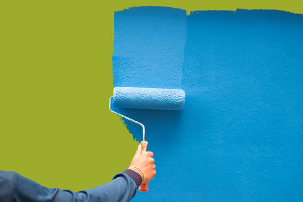 Best Mold Damage Restoration  in New Cumberland, WV